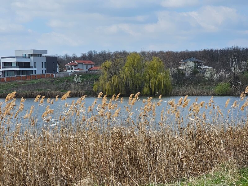 Mogosoaia Teren intravilan 19.974 mp cu PUZ aprobat I dezvoltare I P+2+M