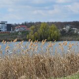 Mogosoaia Teren intravilan 19.974 mp cu PUZ aprobat I dezvoltare I P+2+M